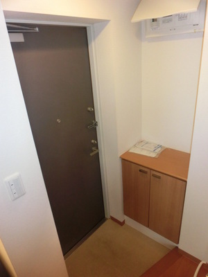 Entrance. Shoes BOX equipped