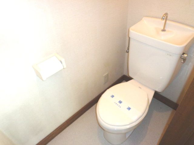 Toilet. Western-style toilet