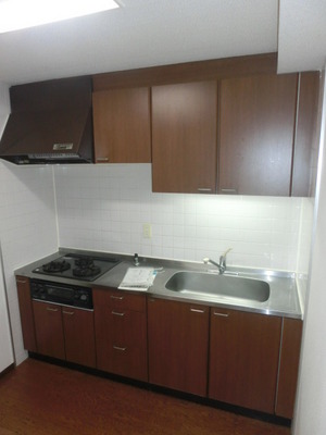 Kitchen. System kitchen