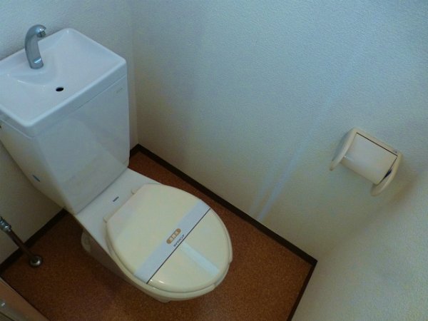 Toilet. Toilet with cleanliness