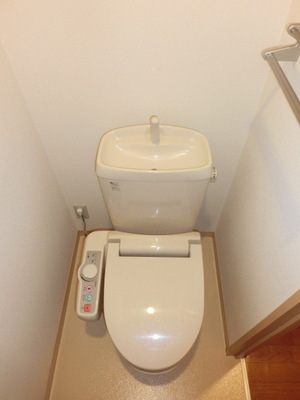 Toilet. WC cleaning toilet seat