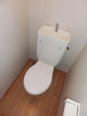 Toilet. Washlet installation Allowed