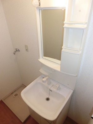 Washroom. With shampoo dresser