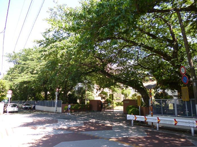 Junior high school. Midoricho 260m until junior high school