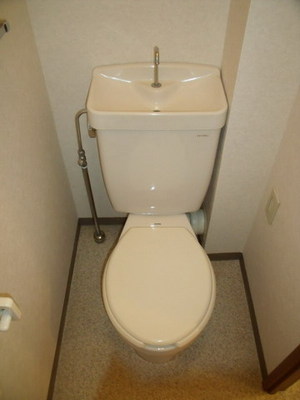 Toilet. Toilet