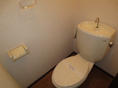 Toilet. Indoor Laundry Storage rooms