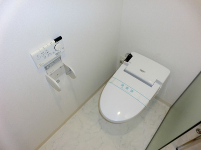 Toilet. Toilet room with cleanliness