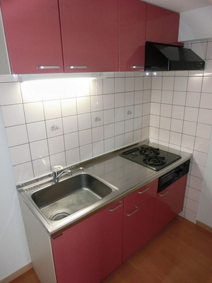 Kitchen. Two-burner stove with system Kitchen