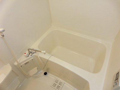 Bath. Large bathroom