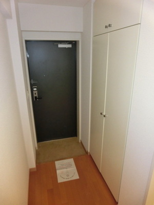Entrance. Entrance Room with shoe box