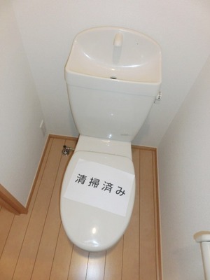 Toilet. Toilet