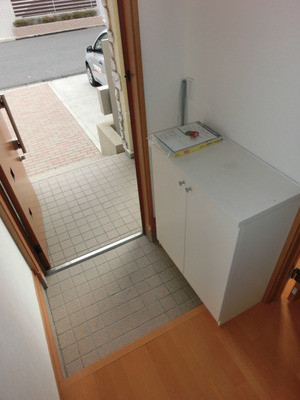 Entrance. There entrance cupboard (same type)