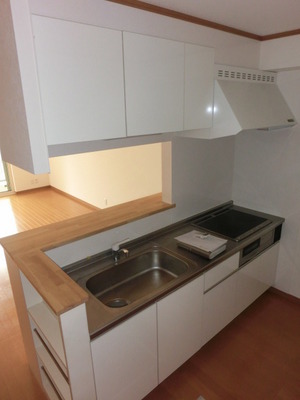 Kitchen. System counter kitchen (same type)