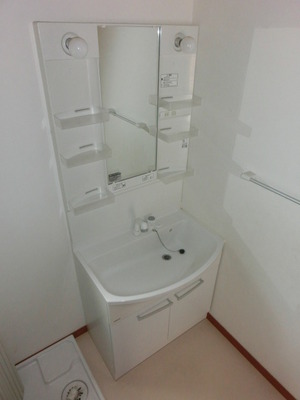 Washroom. Shampoo dresser (same type)