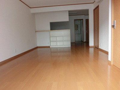 Living and room. 17 Pledge of wide LDK (same type)
