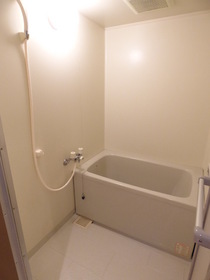 Bath. It is a bathroom with additional heating