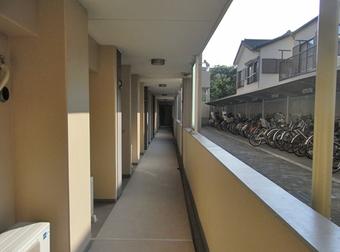 Other. It will share the corridor of the first floor. Look to the right, It is a bicycle shelter in the apartment.