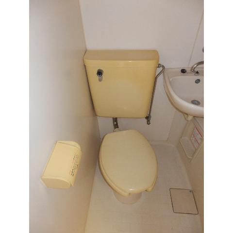 Toilet