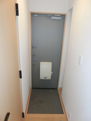 Entrance. Entrance with a shoe box