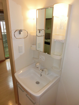 Washroom. Glad Shampoo dresser