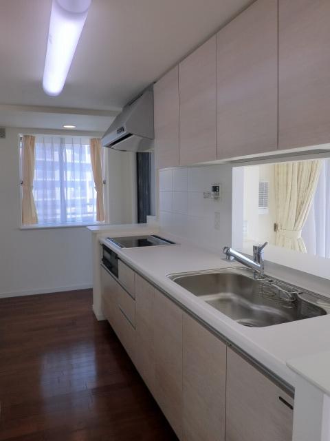 Kitchen. Popular disposer, IH cooking heater Indoor (11 May 2012) shooting