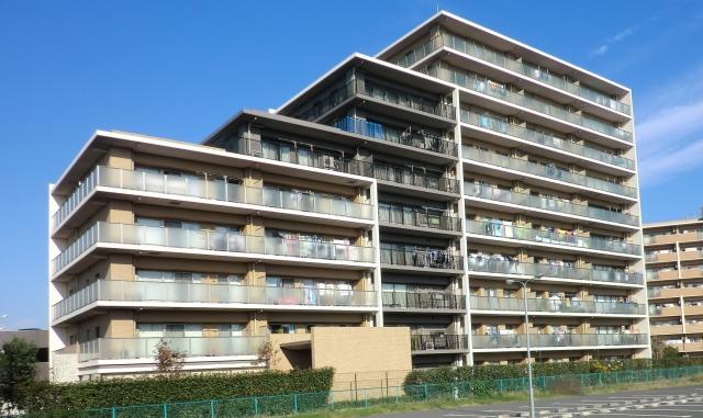 Local appearance photo. Local (11 May 2012) shooting