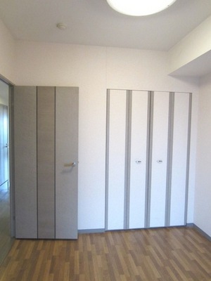 Living and room. Closet door design is also refreshing to nice.