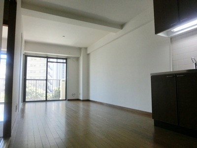 Living and room. Spacious LDK12 Pledge