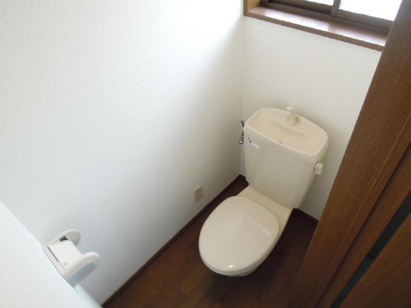 Toilet. Bright and clean in there window