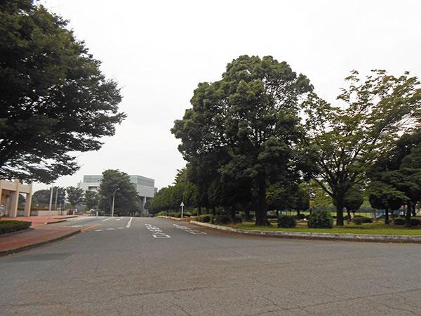 Other. Chiba Prefecture until comprehensive sports center, About 50m