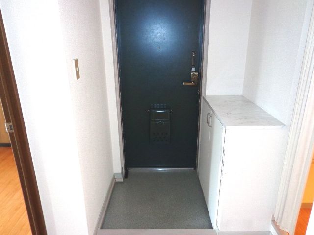 Entrance. It is entrance. With cupboard