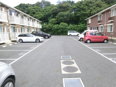 Parking lot. Spacious parking