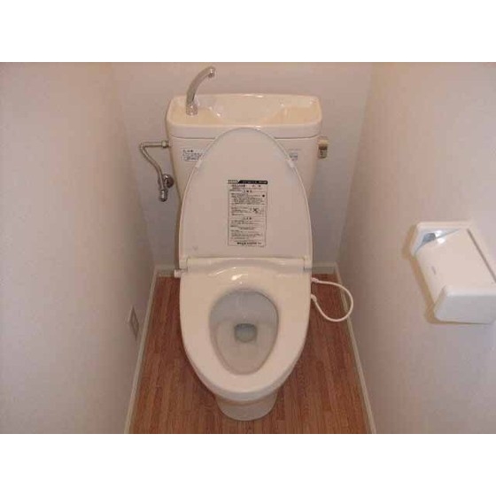 Toilet. Toilet Separate
