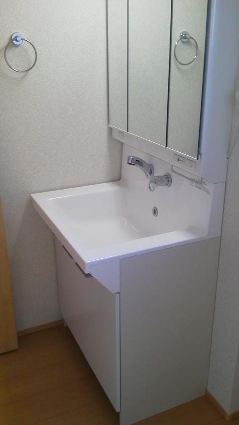 Other. Same specifications (vanity)