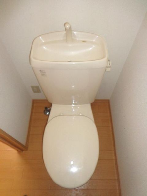 Toilet. Western-style toilet. 