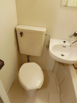 Toilet. Toilet (same type)