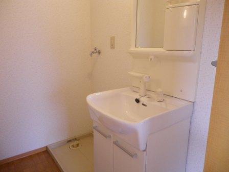 Washroom. With shampoo dresser