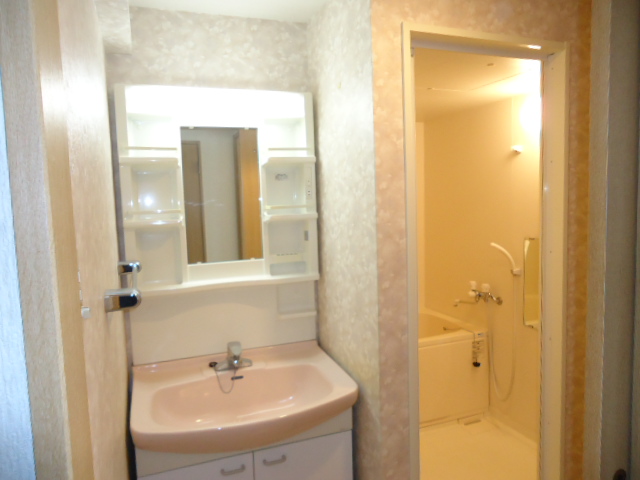 Washroom. Bathroom vanity