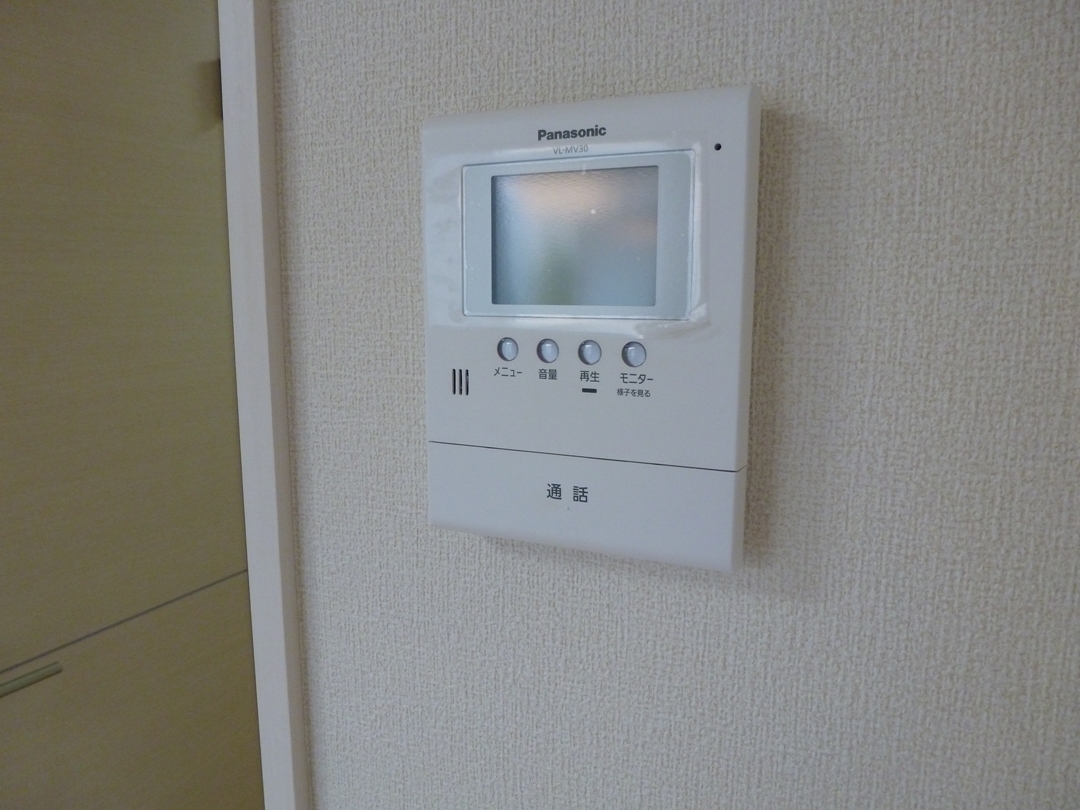 Security. Monitor with intercom