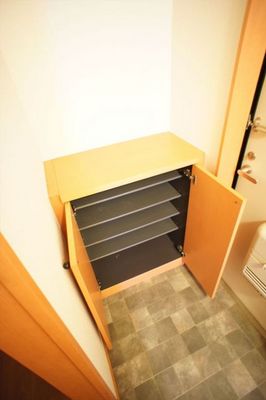 Receipt. Next to the cupboard, There entrance storage of large. 