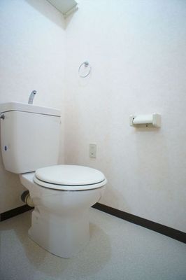 Toilet. Bidet There outlet for mounting. 