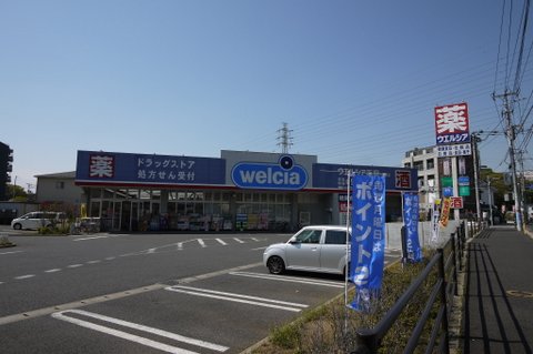 Dorakkusutoa. Uerushia Chiba Ensei shop 183m until (drugstore)