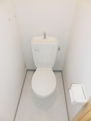 Toilet. It is a simple toilet.