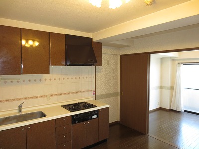 Kitchen. Bright kitchen, Built-in 3-burner stove