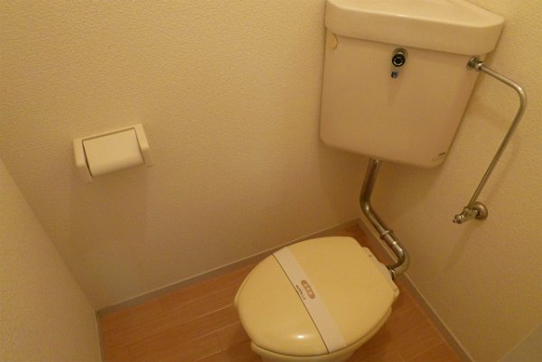 Toilet. Toilet with cleanliness