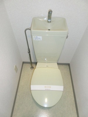 Toilet. Standard toilets