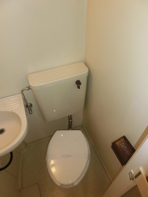 Toilet. Toilet