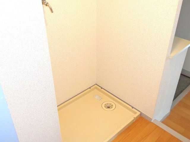 Other room space. Is Indoor Laundry Area.