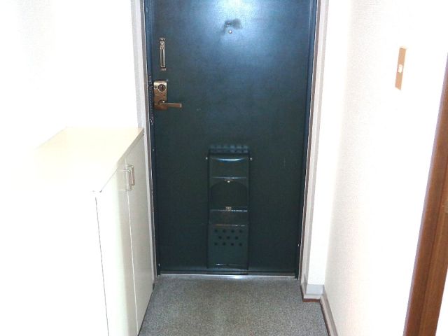 Entrance. It is entrance. With cupboard