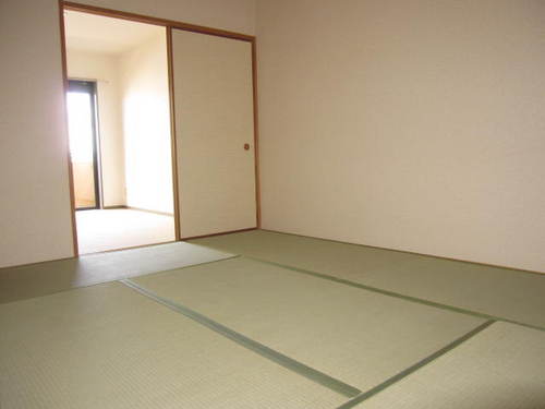 Other room space. Japanese style room